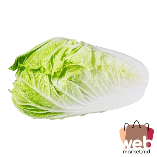 Varză chinezească Pekin (Napa) kg Moldova