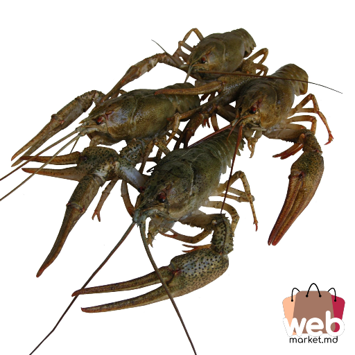 Raci vii de apă dulce