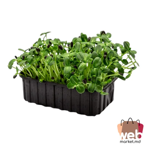 Microplante Floarea soarelui 70g ADORPLANTS