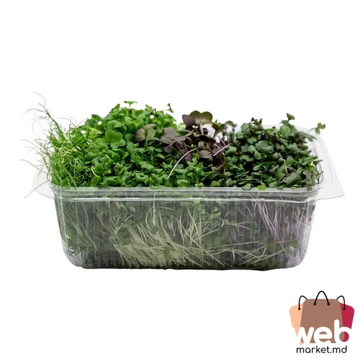 Mix de microplante 150g ADORPLANTS
