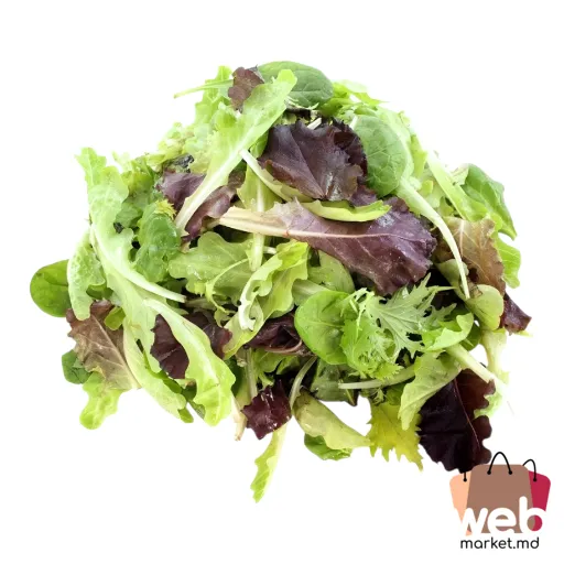 Misticanza 100g Italia BIOVER