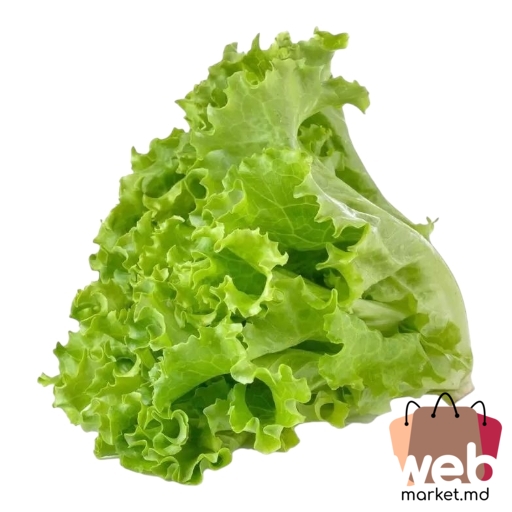 Salată Bionda frunze 100g Moldova