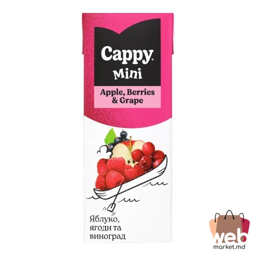Suc berries 200ml CAPPY