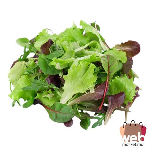 Misticanza 100g Italia BIOFRUCT EXIM