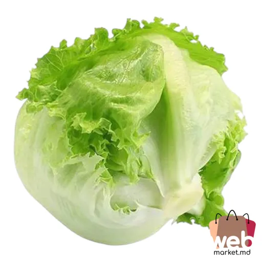 Salată verde Iceberg kg BIOVER