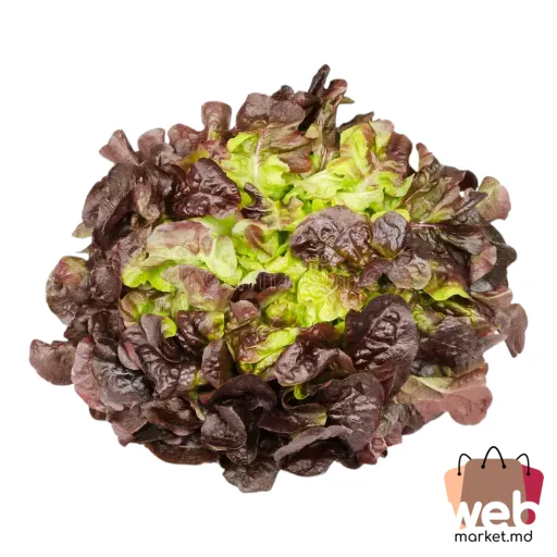 Salată cu frunze de stejar roșu kg Spania CRIOLEDIMUS