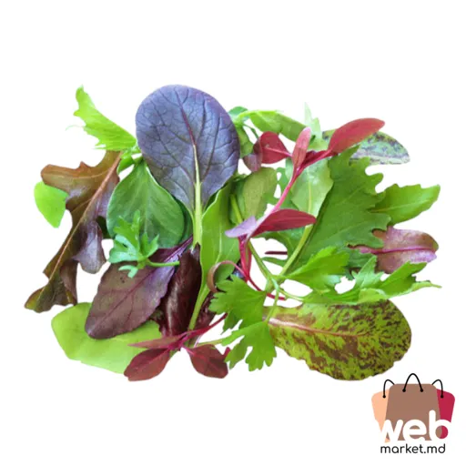 Frunze de salată Baby mix kg Spania CRIOLEDIMUS
