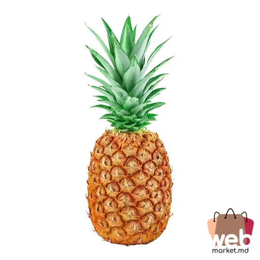 Ananas Baby kg Costa Rica BIOVER
