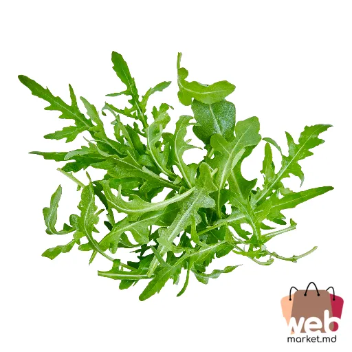 Rucola verde 100g Italia BIOVER